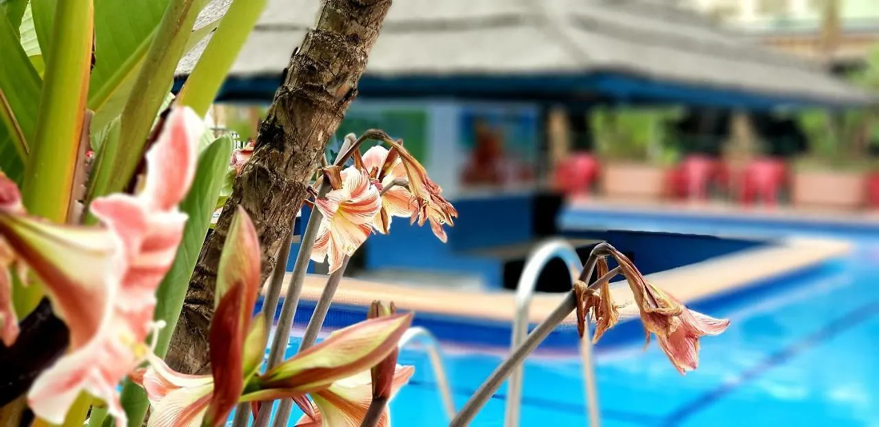 Apartment El Estudio De La Playa Benalbeach Holidays Deluxe Benalmadena